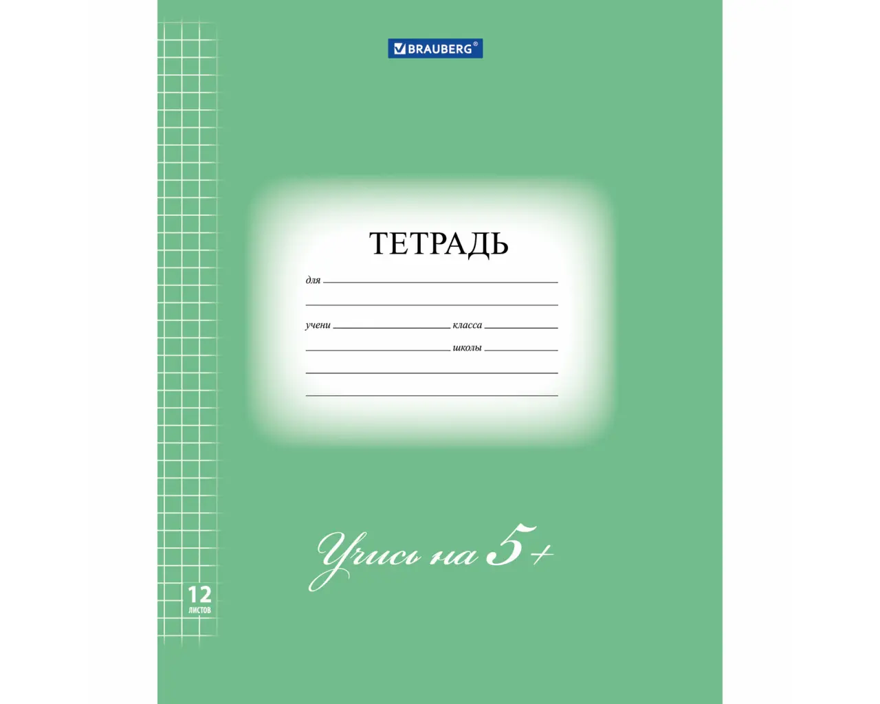 Тетрадь 12 л. BRAUBERG ЭКО 