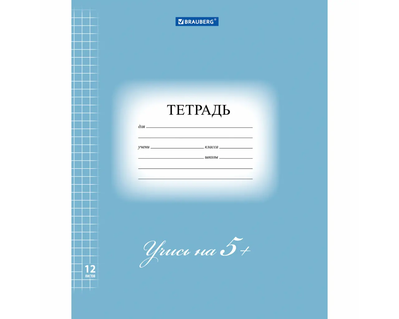 Тетрадь 12 л. BRAUBERG ЭКО 