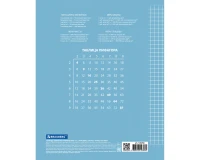 Тетрадь 12 л. BRAUBERG ЭКО 