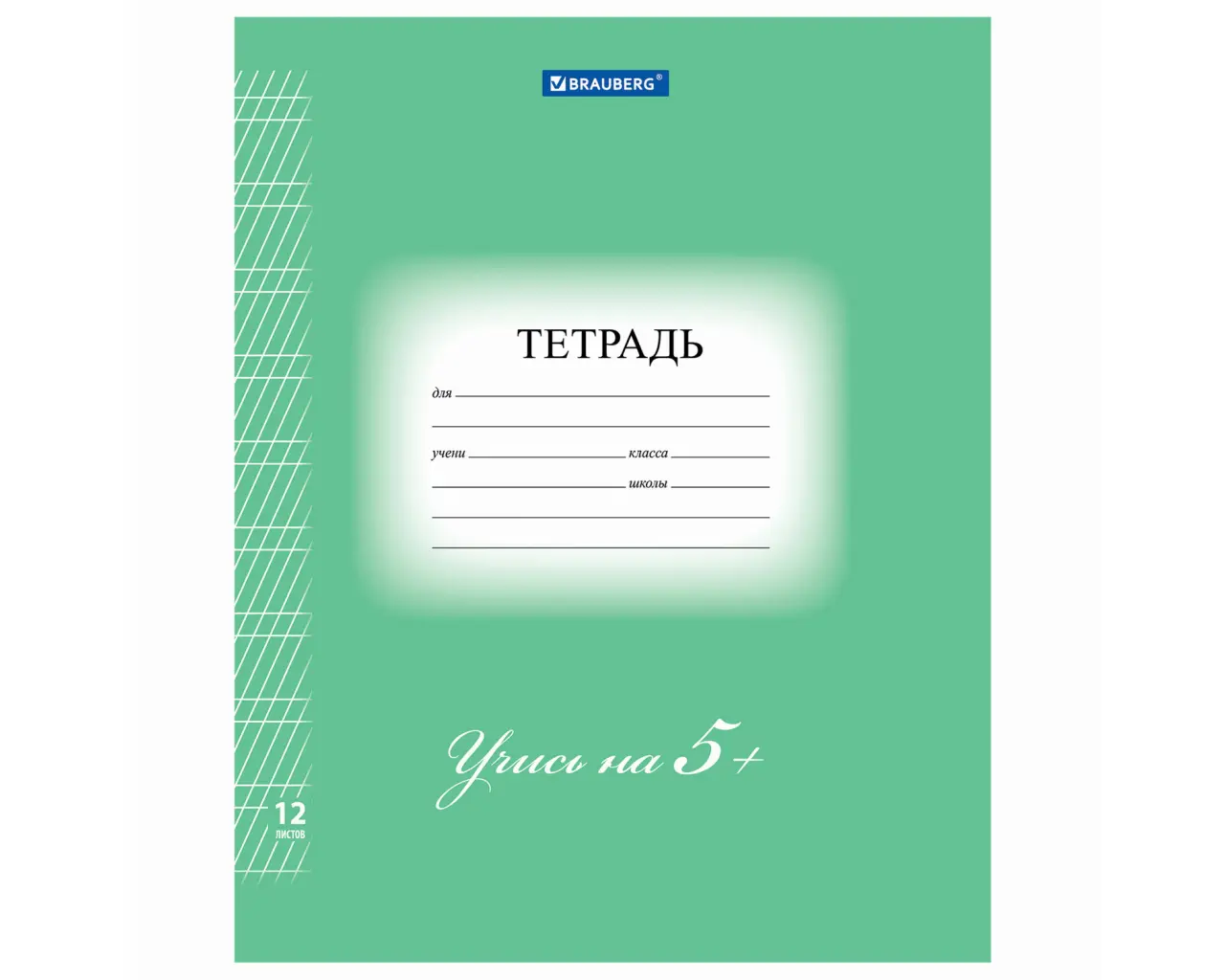 Тетрадь 12 л. BRAUBERG ЭКО 