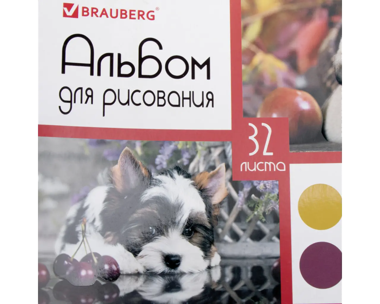 Альбом для рисования А4, 32 листа, гребень, выборочный лак, BRAUBERG, 205х290 мм, 