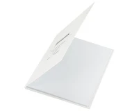 Дневник 1-11 класс 40 л., твердый, BRAUBERG, матовая ламинация, БЕЛЫЙ, 105540.2