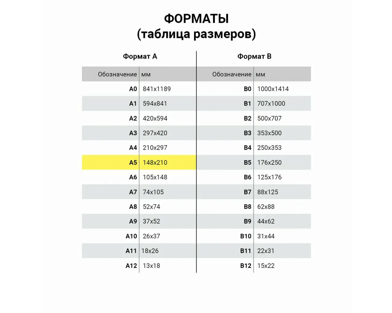 Тетрадь 12 л. BRAUBERG КЛАССИКА NEW крупная клетка, обложка картон, ЗЕЛЕНАЯ, 105689.5