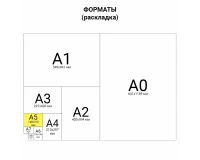 Тетрадь 12 л. BRAUBERG КЛАССИКА NEW крупная клетка, обложка картон, ЗЕЛЕНАЯ, 105689.4