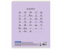 Тетрадь 24 л. BRAUBERG КЛАССИКА NEW линия, обложка картон, АССОРТИ (5 видов), 105704.12
