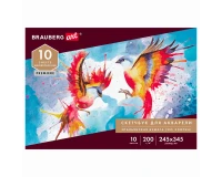 Альбом для акварели, бумага ИТАЛИЯ 200 г/м2 25% хлопок 245х345 мм, 10 л., BRAUBERG ART PREMIERE, 105911.1