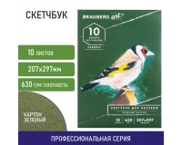 Альбом для пастели, картон ЗЕЛЕНЫЙ тонированный 630 г/м2, 207x297 мм, 10 л., BRAUBERG ART CLASSIC, 105920.1