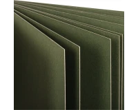 Альбом для пастели, картон ЗЕЛЕНЫЙ тонированный 630 г/м2, 207x297 мм, 10 л., BRAUBERG ART CLASSIC, 105920.5