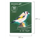 Альбом для пастели, картон ЗЕЛЕНЫЙ тонированный 630 г/м2, 207x297 мм, 10 л., BRAUBERG ART CLASSIC, 105920.2