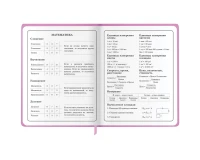 Дневник 1-4 класс 48 л., кожзам (твердая с поролоном), печать, аппликация, ЮНЛАНДИЯ, 
