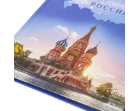 Дневник 1-11 класс 40 л., твердый, BRAUBERG, ламинация, цветная печать, РОССИЙСКОГО ШКОЛЬНИКА-1, 106049.3