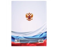 Дневник 1-11 класс 40 л., твердый, BRAUBERG, ламинация, цветная печать, 