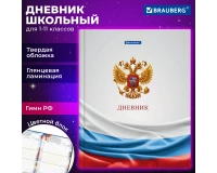 Дневник 1-11 класс 40 л., твердый, BRAUBERG, ламинация, цветная печать, 