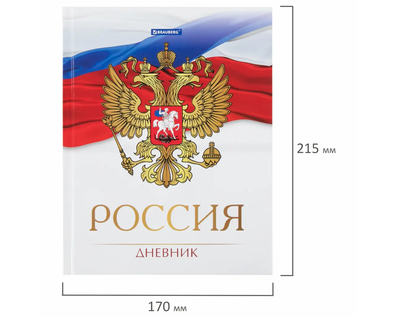 Дневник 5-11 класс 48 л., твердый, BRAUBERG, глянцевая ламинация, с подсказом, 