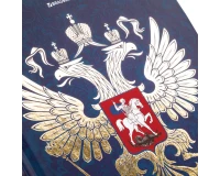 Дневник 5-11 класс, 48 л., твердый, BRAUBERG, фольга, с подсказом, 