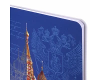 Дневник 1-11 класс 48 л., кожзам (гибкая), печать, фольга, BRAUBERG, 