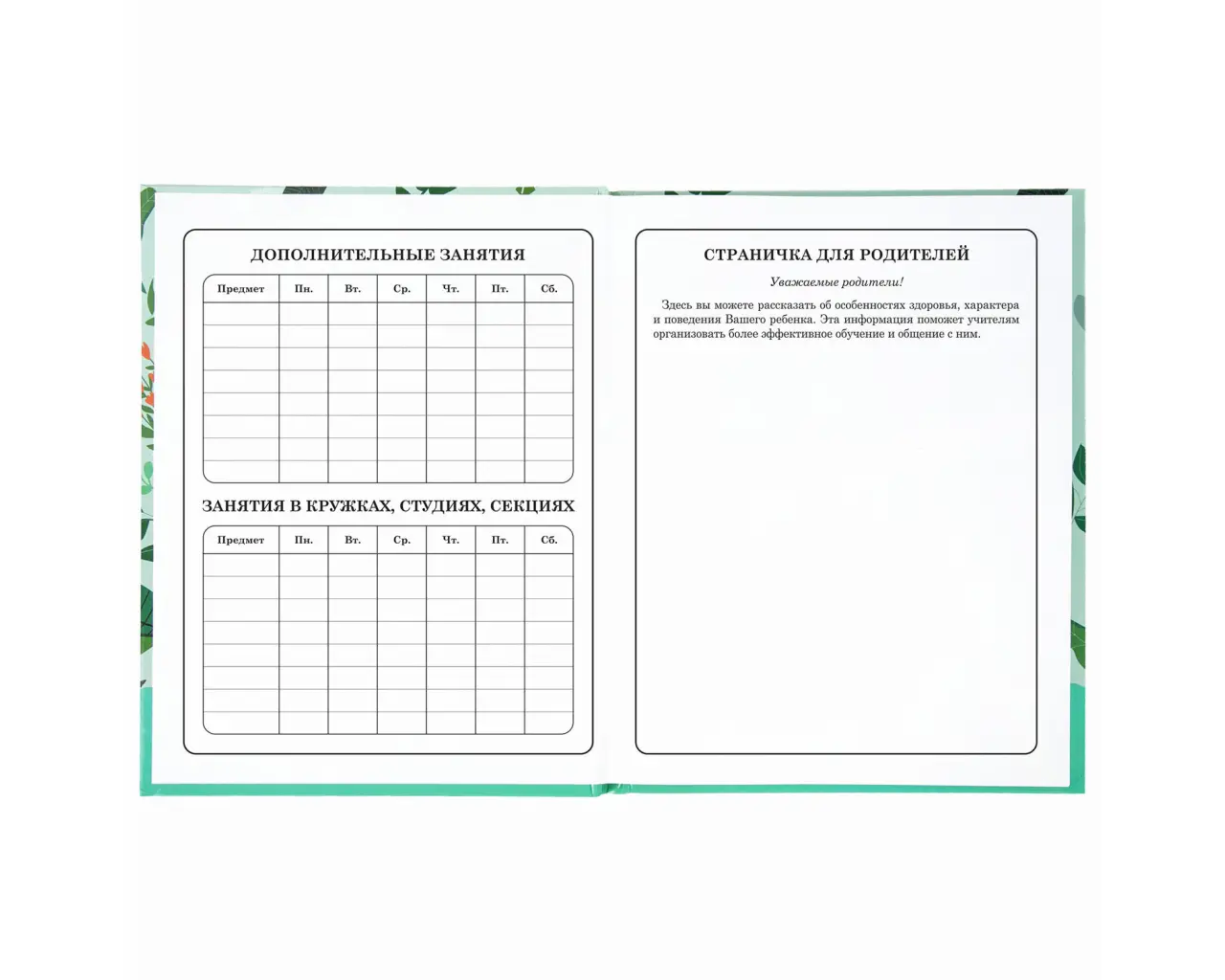 Дневник 1-4 класс 48 л., твердый, BRAUBERG, глянцевая ламинация, с подсказом, 