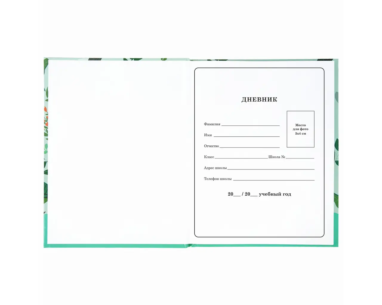 Дневник 1-4 класс 48 л., твердый, BRAUBERG, глянцевая ламинация, с подсказом, 