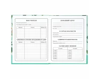 Дневник 1-4 класс 48 л., твердый, BRAUBERG, глянцевая ламинация, с подсказом, 
