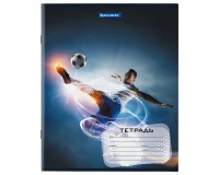 Тетрадь 12 л. BRAUBERG, клетка, обложка картон, 