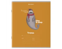 Тетрадь 18 л. BRAUBERG клетка, обложка картон, 