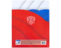 Дневник 5-11 класс 48 л., твердый, BRAUBERG, глянцевая ламинация, с подсказом, 