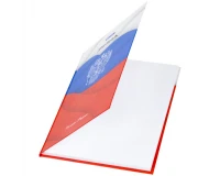 Дневник 5-11 класс 48 л., твердый, BRAUBERG, глянцевая ламинация, с подсказом, 