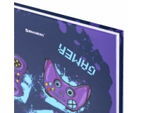 Дневник 5-11 класс 48 л., твердый, BRAUBERG, глянцевая ламинация, с подсказом, 