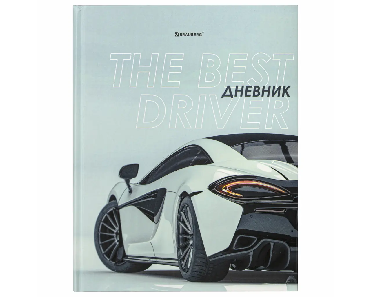 Дневник 5-11 класс 48 л., твердый, BRAUBERG, выборочный лак, с подсказом, 