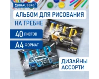 Альбом для рисования, А4, 40 листов, гребень, обложка картон, BRAUBERG, 195х285 мм, 