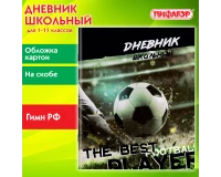 Дневник 1-11 класс 40 л., на скобе, ПИФАГОР, обложка картон, 
