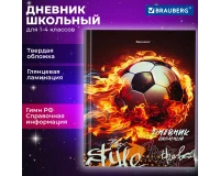 Дневник 1-4 класс 48 л., твердый, BRAUBERG, глянцевая ламинация, с подсказом, 