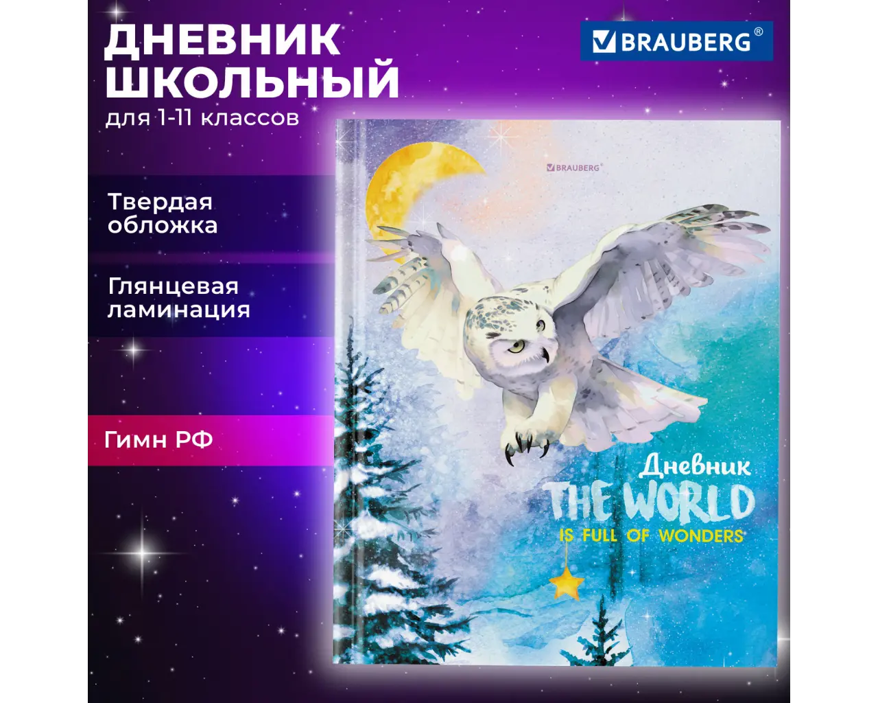Дневник 1-11 класс 40 л., твердый, BRAUBERG, глянцевая ламинация, 