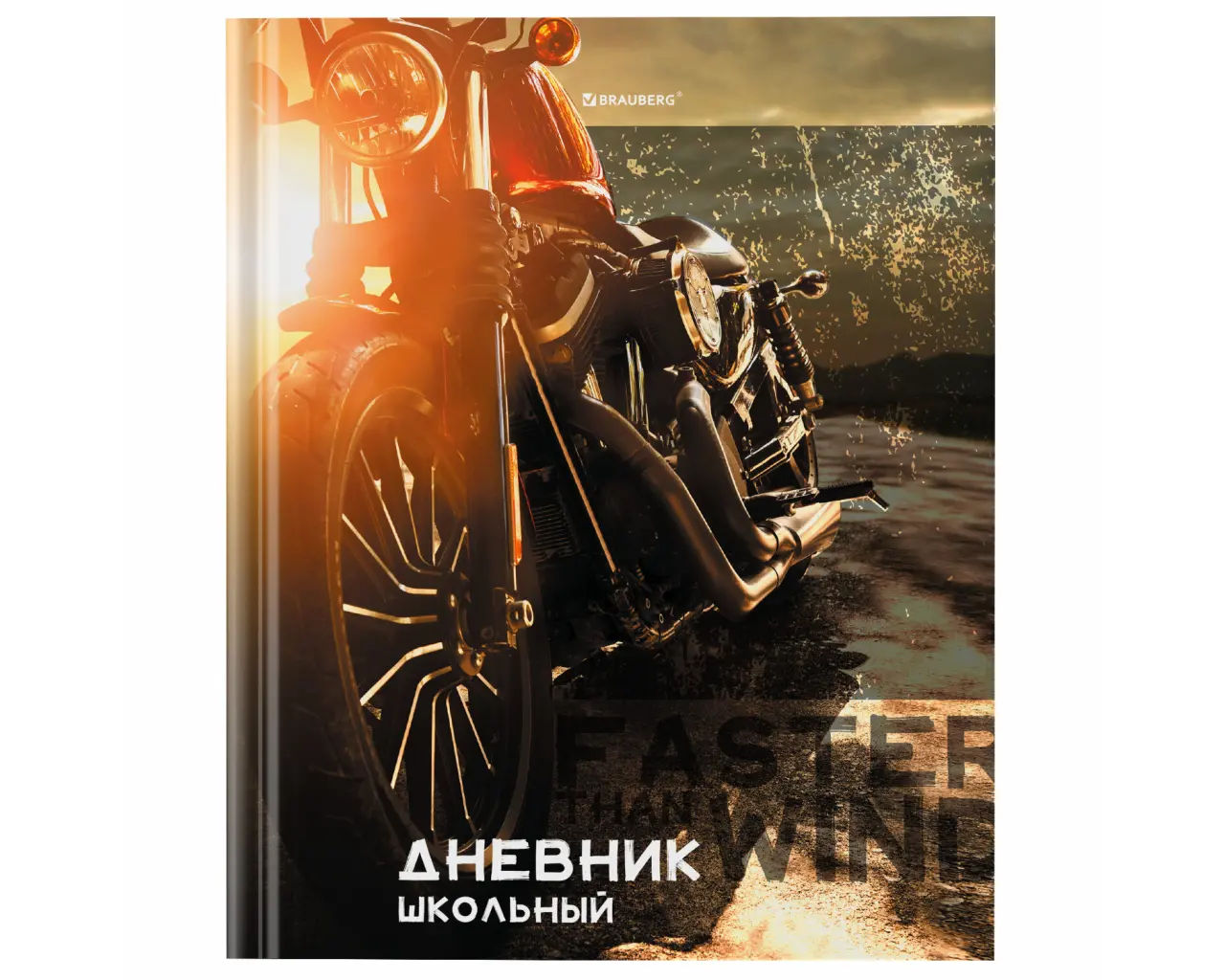 Дневник 5-11 класс 48 л., твердый, BRAUBERG, глянцевая ламинация, с подсказом, 