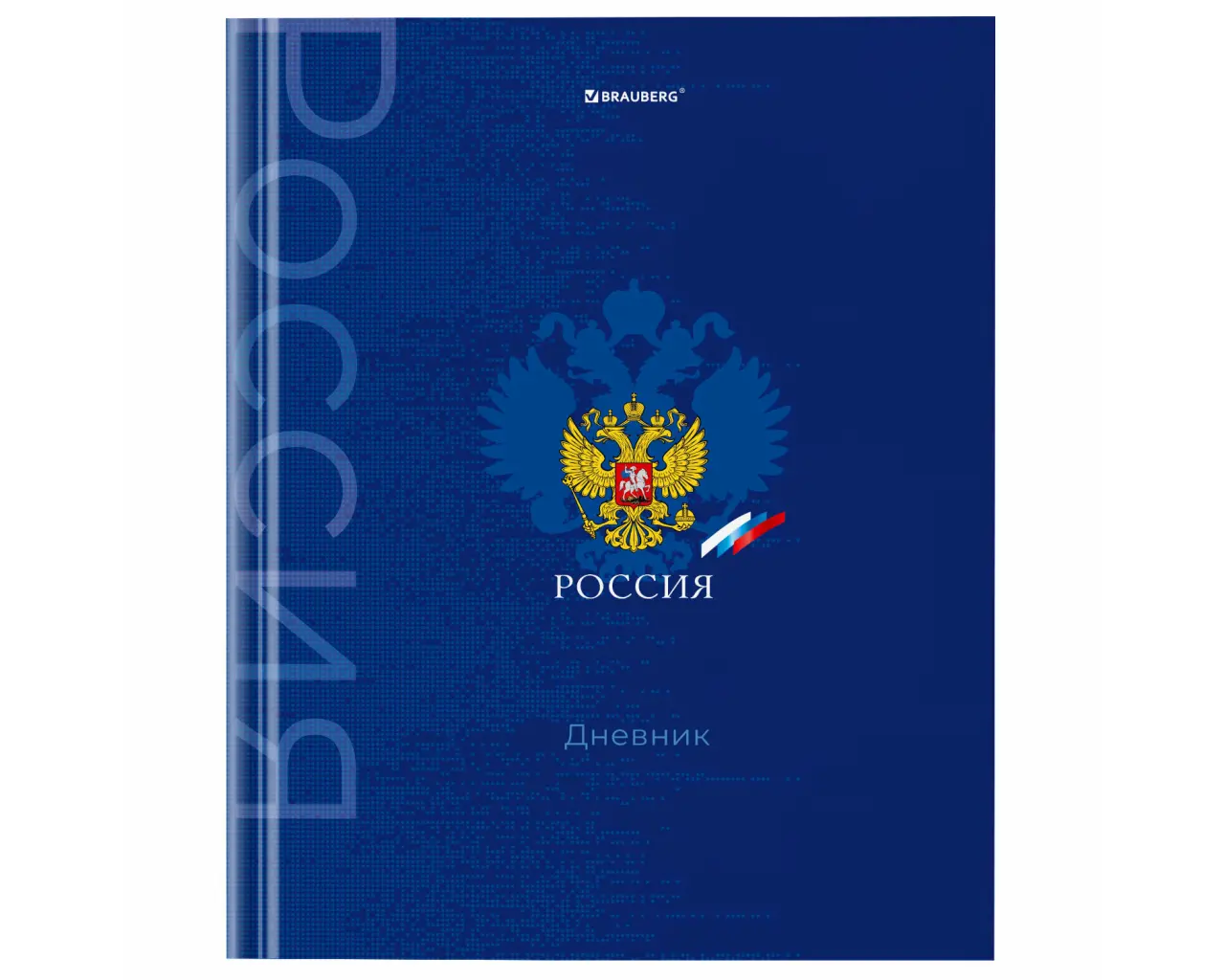 Дневник 5-11 класс 48 л., твердый, BRAUBERG, глянцевая ламинация, с подсказом, 