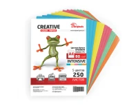 Бумага цветная CREATIVE color, А4, 80 г/м2, 250 л., (5 цветов х 50 л.), микс интенсив, БИpr-250r.0