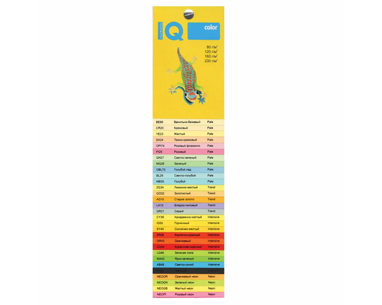 Бумага цветная IQ color, А4, 80 г/м2, 200 л., (4 цвета x 50 листов), микс неон, RB04.2